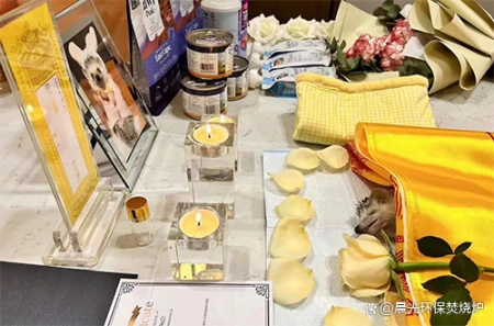 寵物殯葬服務機構具體的服務流程是怎樣的？